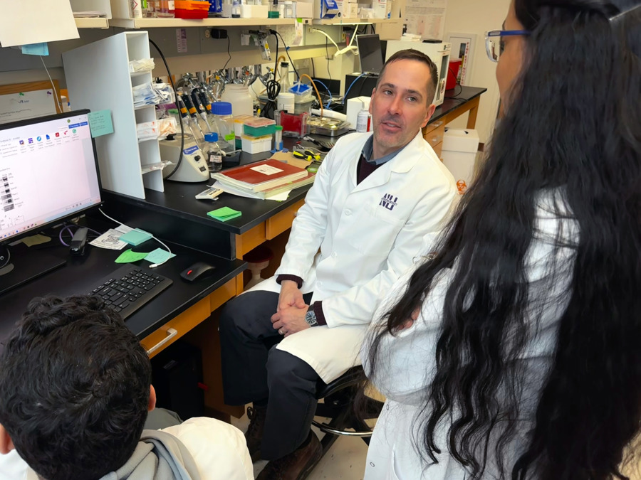 Fármaco contra las convulsiones podría prevenir alzhéimer