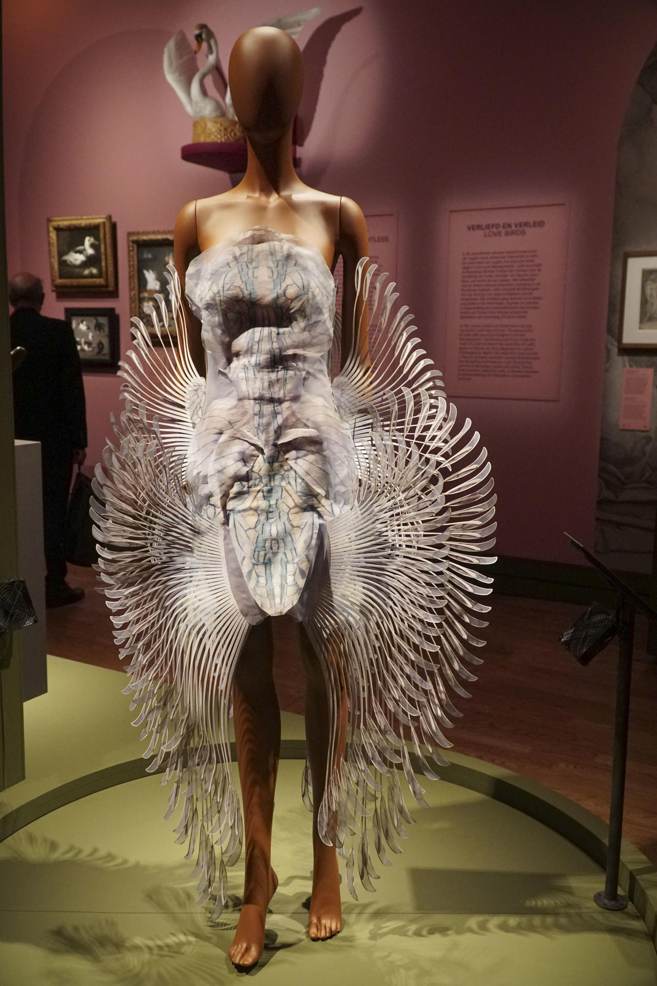 El Mauritshuis explora la fascinación humana por las aves en la exposición “Pájaros”