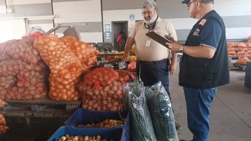 ACODECO y MINSA refuerzan operativos por venta irregular de cebolla importada
