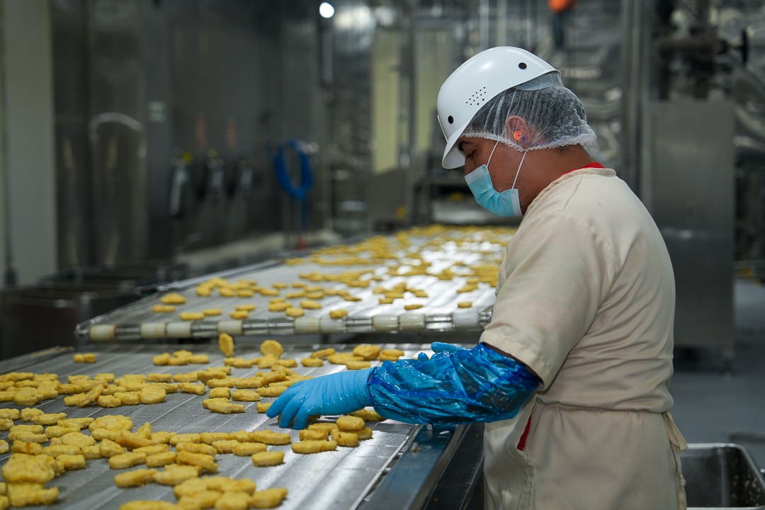 Avicultura panameña avanza hacia certificaciones internacionales