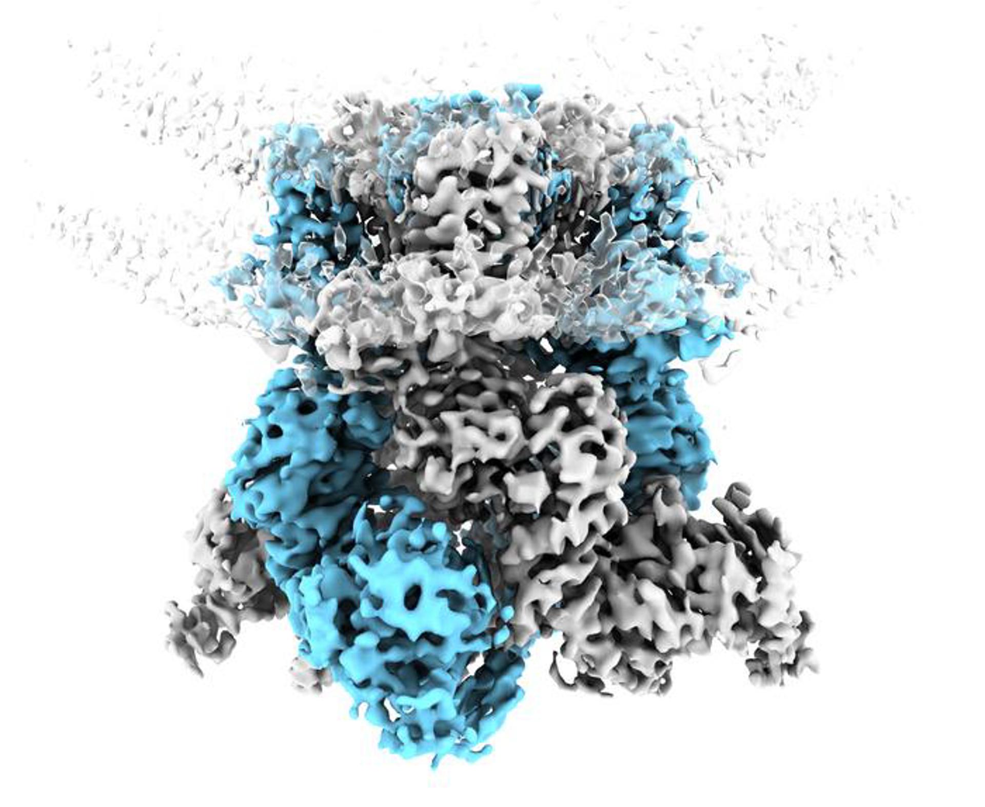 Científicos logran que deje de ser un misterio cómo percibe el cuerpo el frío