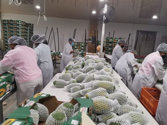 El Caribe y Suramérica nuevos nichos para las exportaciones panameñas