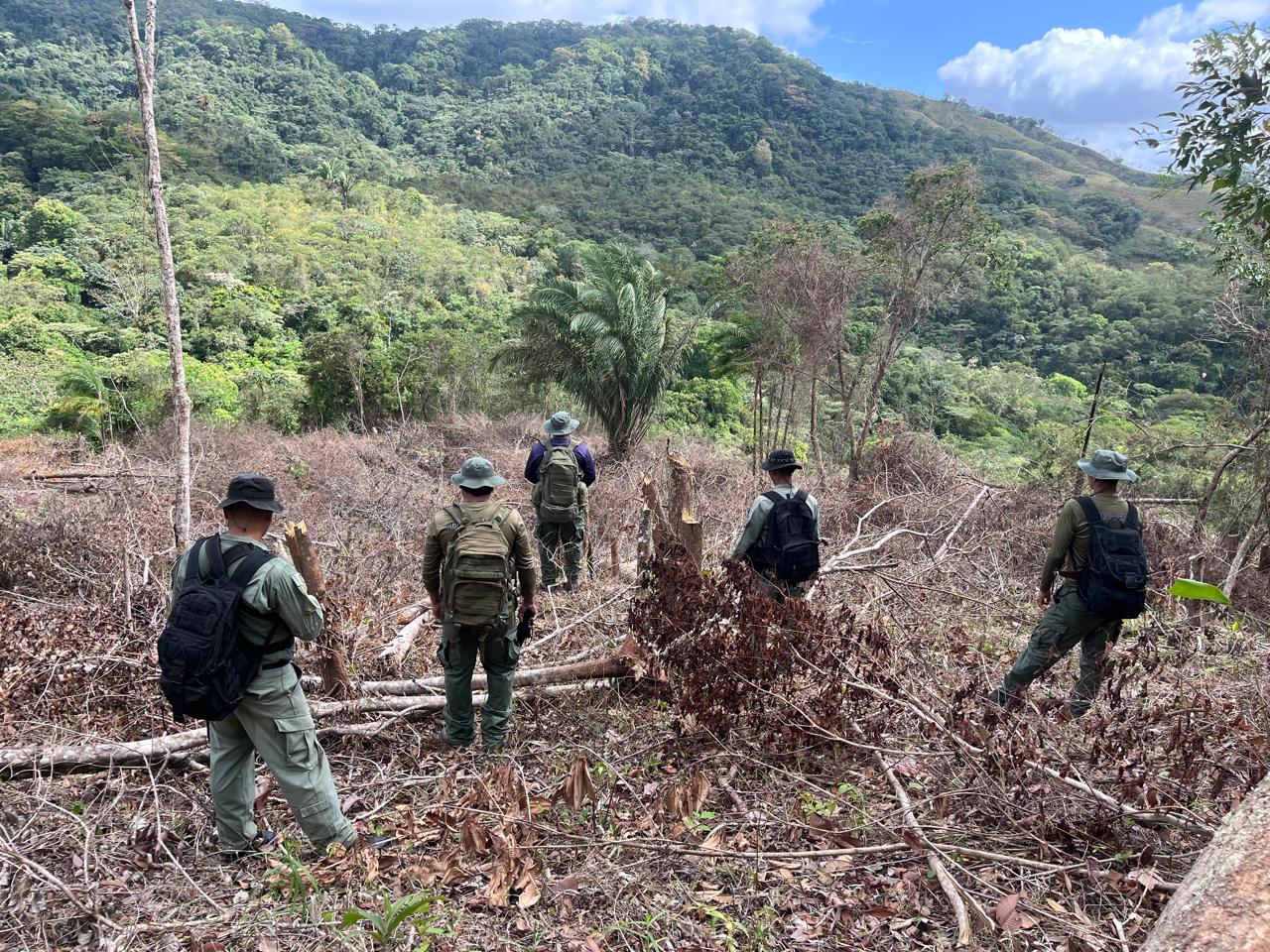 Tala ilegal en la Reserva Forestal El Montoso afecta fuentes hídricas