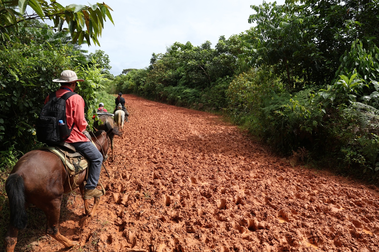 Canal adjudica construcción de nuevas carreteras en proyecto en Río Indio