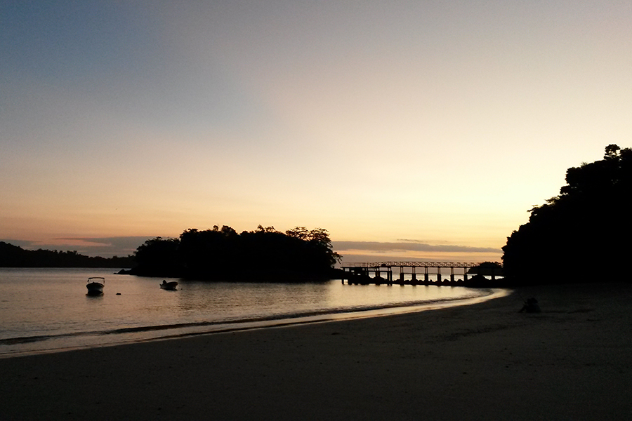 Coiba en riesgo: un patrimonio mundial que une naturaleza, economía y comunidades