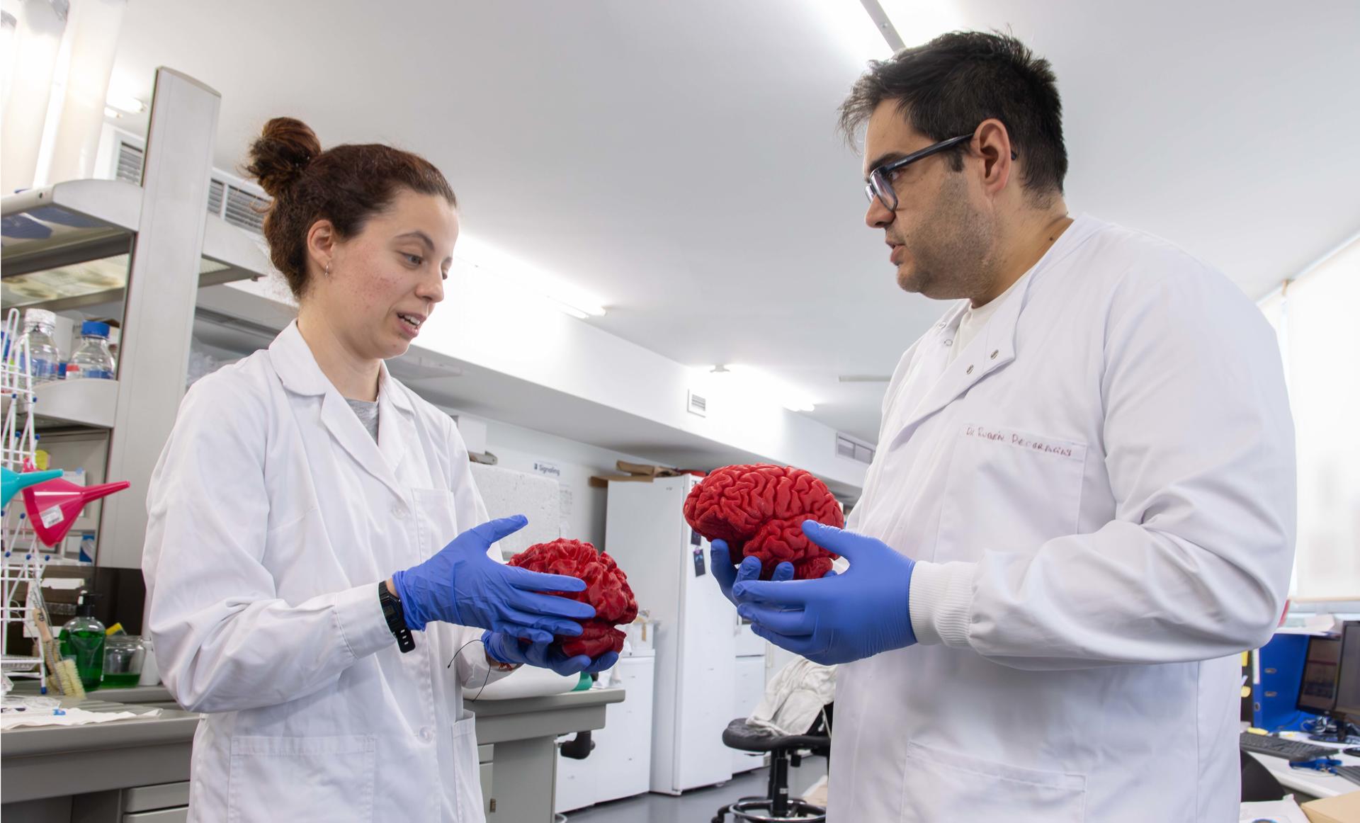Descubren un “interruptor” cerebral clave en el autismo y la esquizofrenia