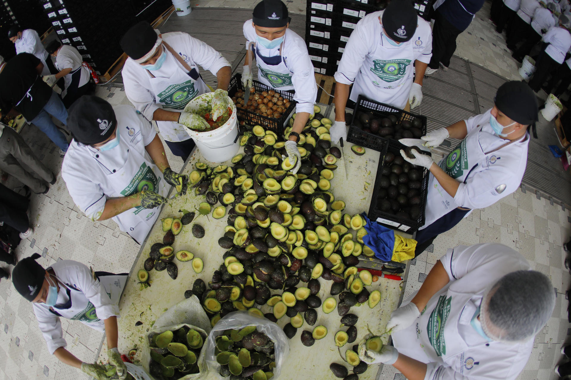 Guacamole más grande del mundo con más de 12 toneladas