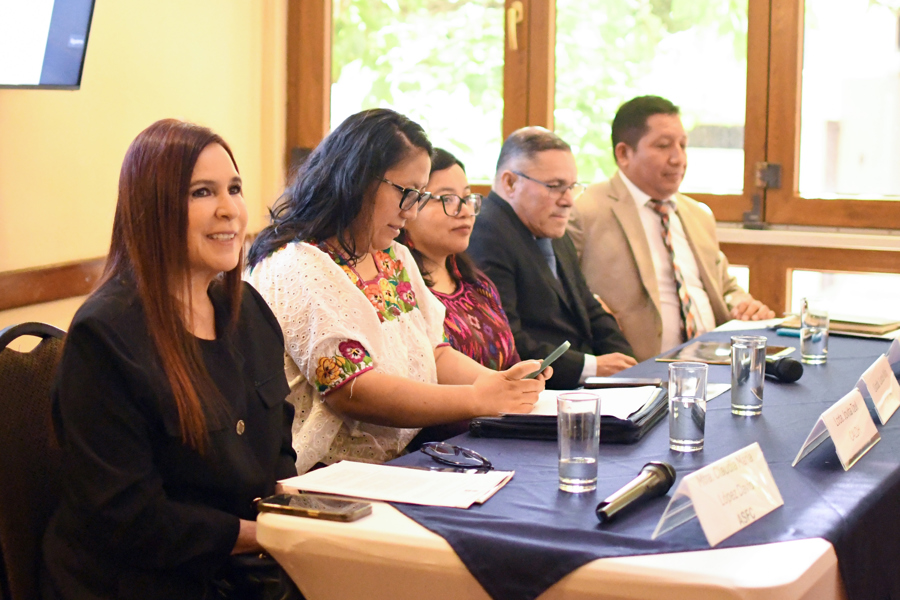 Grupo de Trabajo de la ONU señala de "arbitraria" la detención de un exfiscal en Guatemala