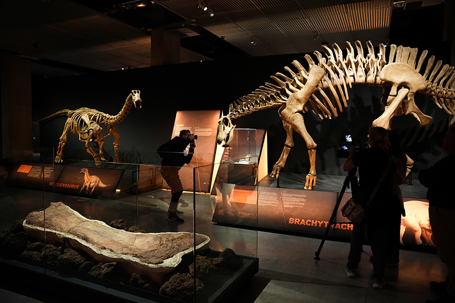 Identifican una clase de meteorito "extraño" que causó la extinción de los dinosaurios