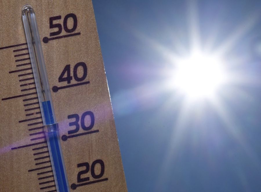 La ola de calor de junio en Alemania causó más de 4,300 muertes, según el Instituto Koch