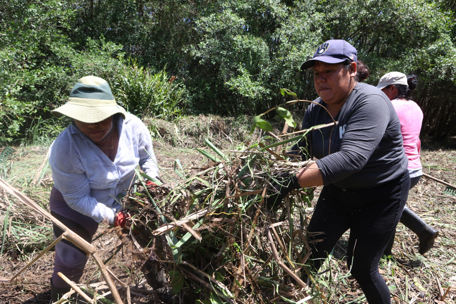 Mujeres lideran la restauración y protección de una zona manglar en El Salvador