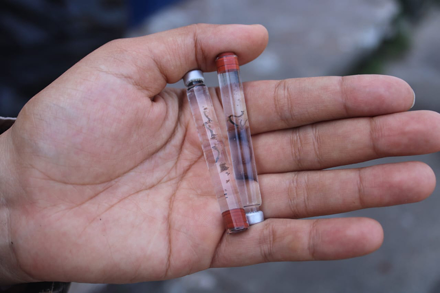 Minsa reporta 3,596 casos de dengue y mantiene llamado a reforzar medidas de prevención