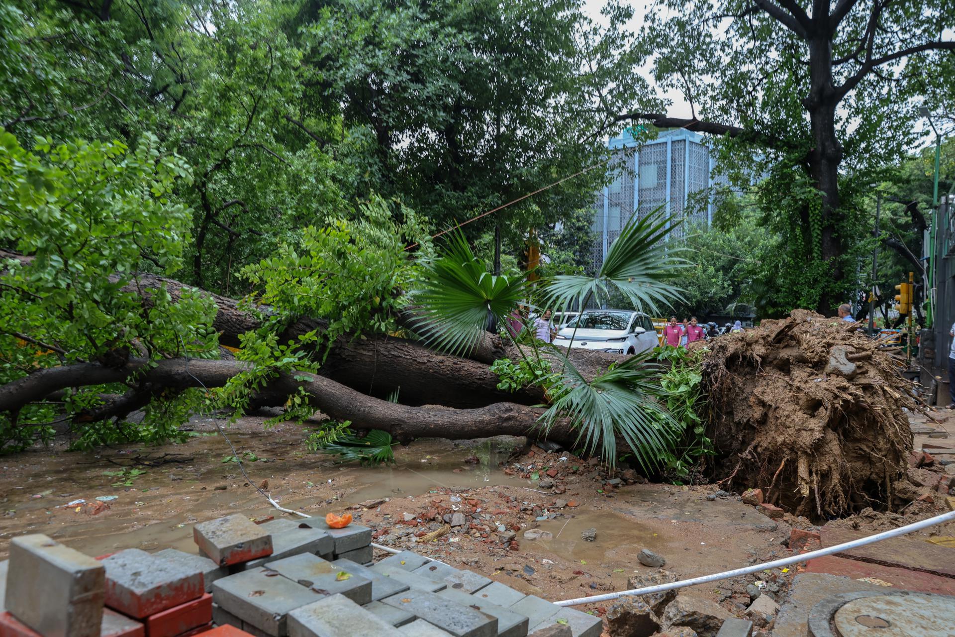 Lluvias monzónicas en la India causan decenas de muertos por desastres en todo el país