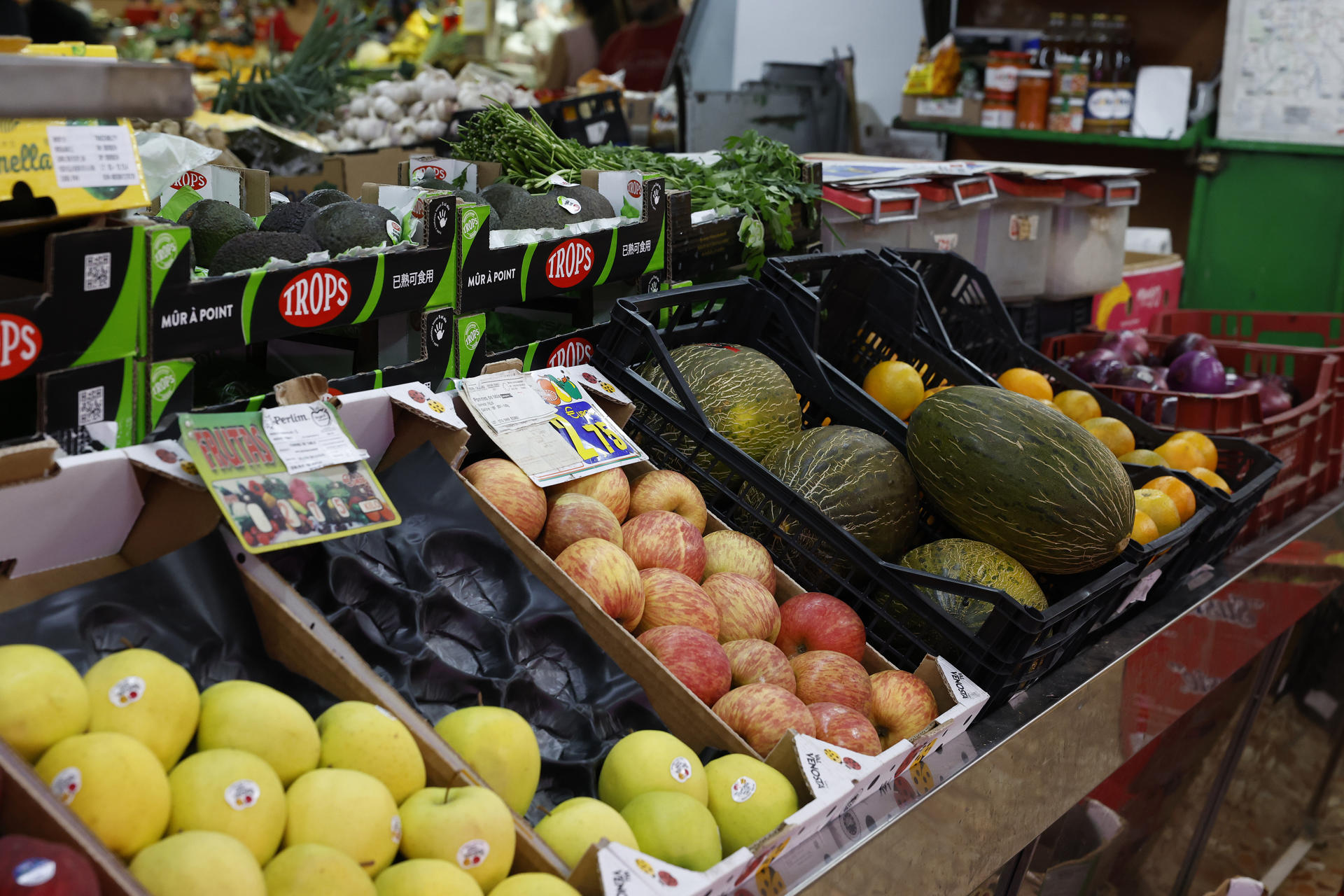 El consumo de alimentos vegetales en niños y adolescentes es insuficiente