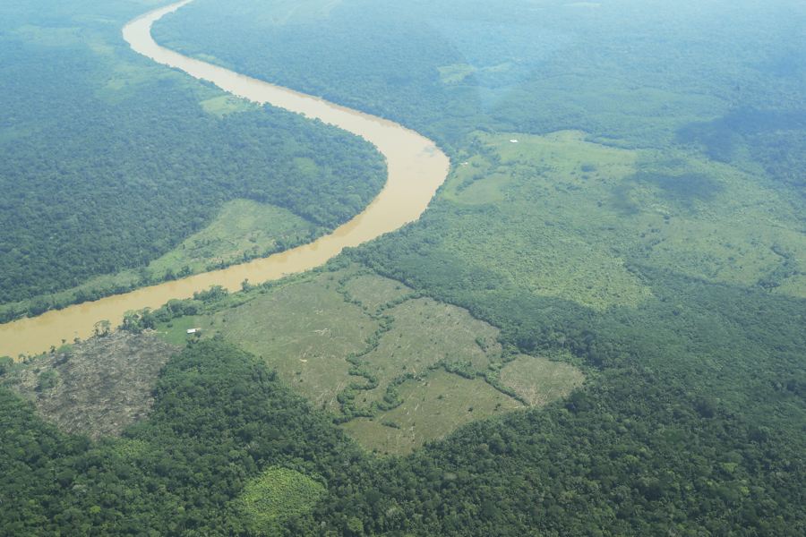 La bioeconomía de la Amazonía, una víctima potencial de El Niño