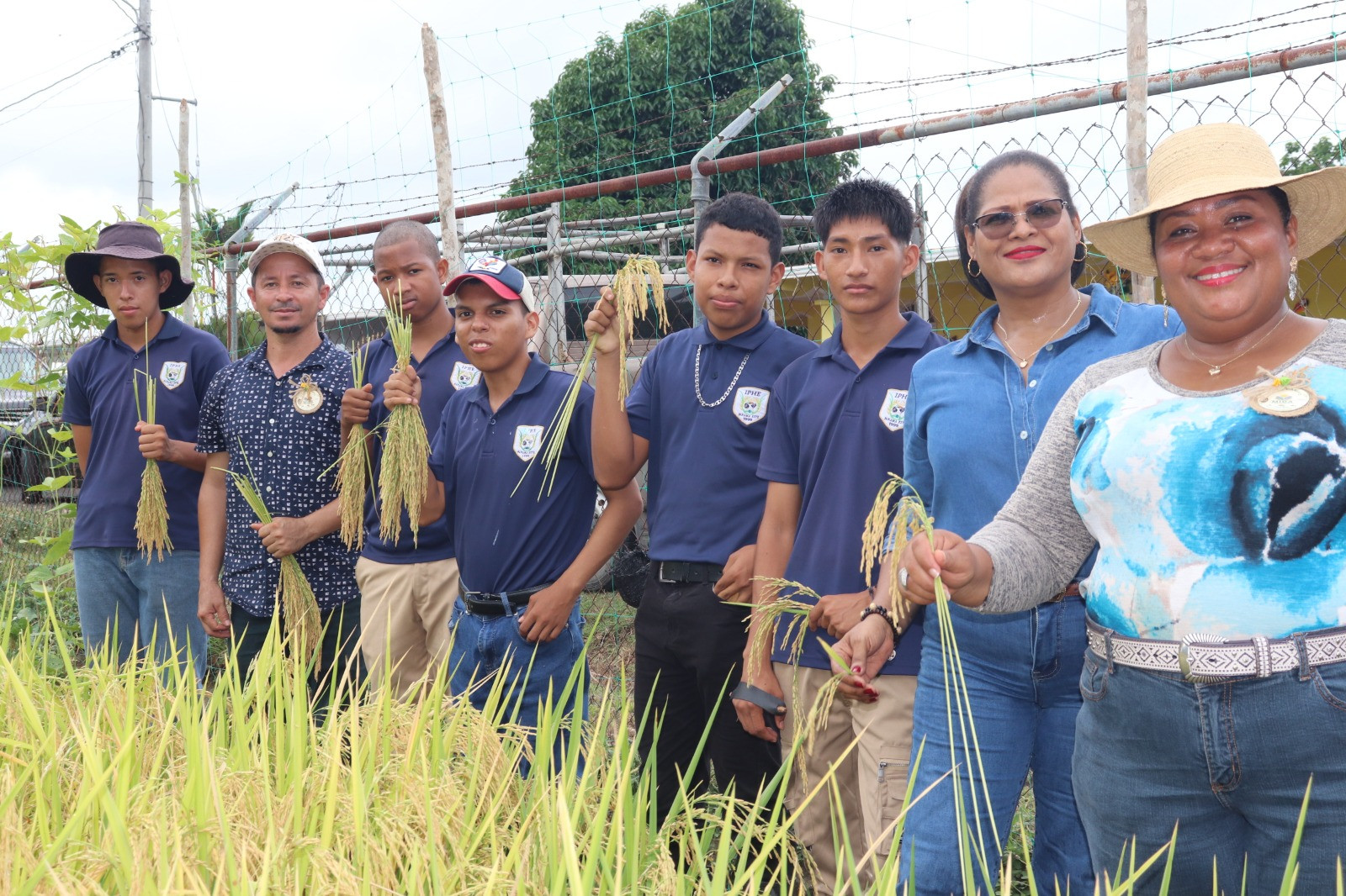 IPHE impulsa la producción sostenible con cosecha de arroz y peces en Chepo