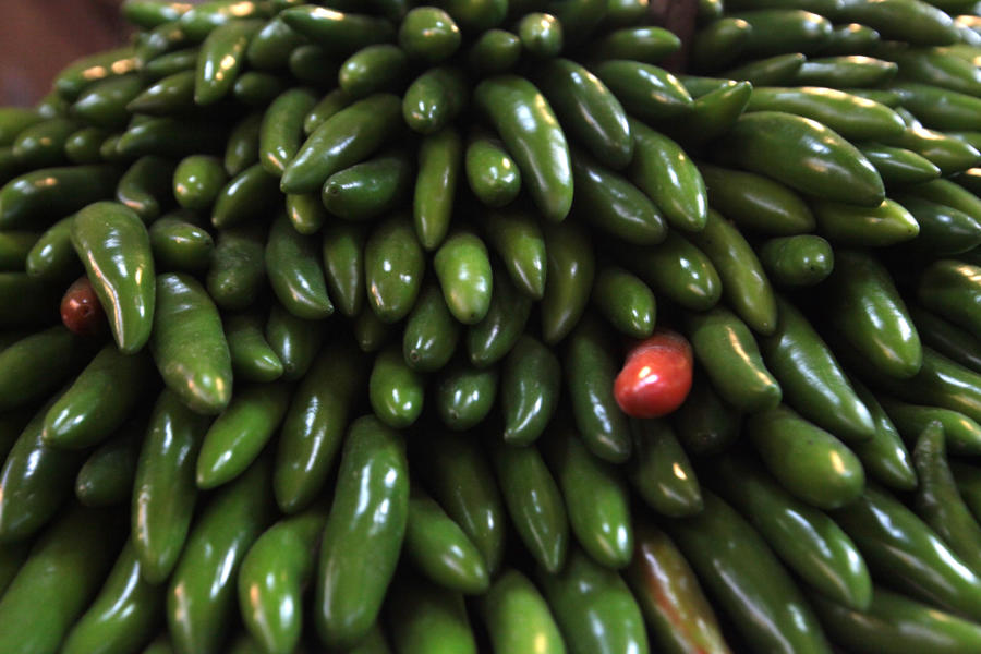 EE.UU. advierte de un brote de salmonela con 345 casos por jalapeños procedentes de México