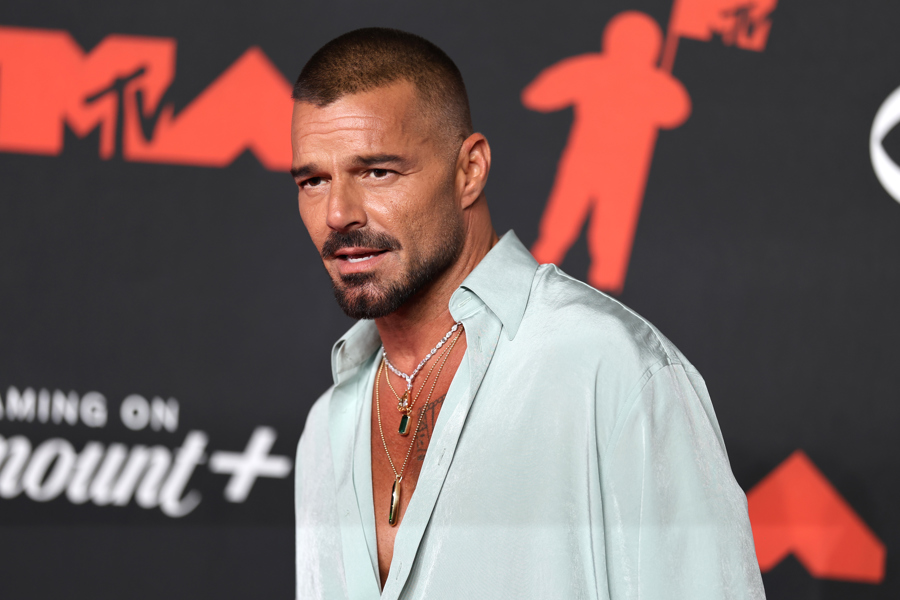 Ricky Martin regresa al cine con 'Hombre al agua', la nueva película de Gael García Bernal