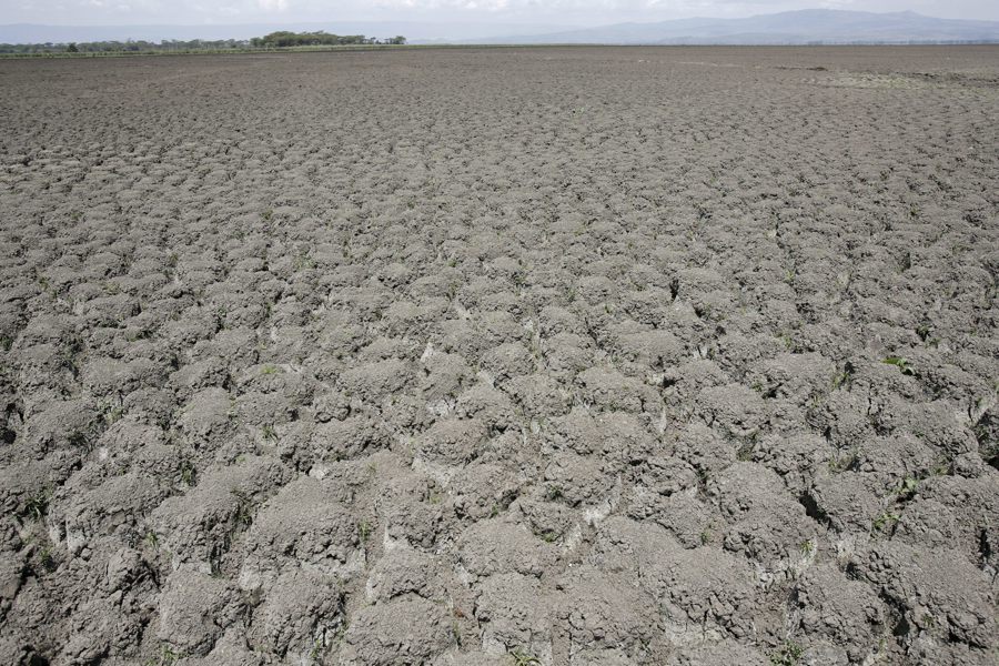 La COP17 cierra sin pacto de sequía, pero moviliza 1.300 millones de dólares