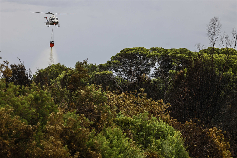 Ecologistas reclaman una "potente estrategia" para evitar los incendios de causa humana, que son el 80% de los fuegos