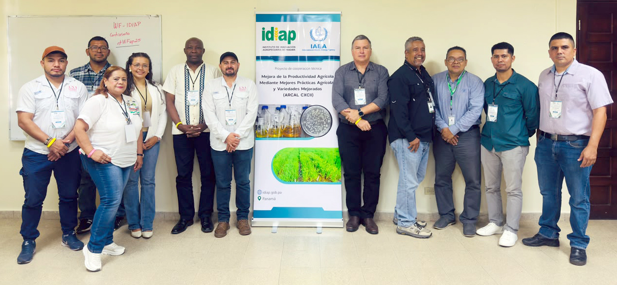 IDIAP culmina con éxito Taller Regional del OIEA