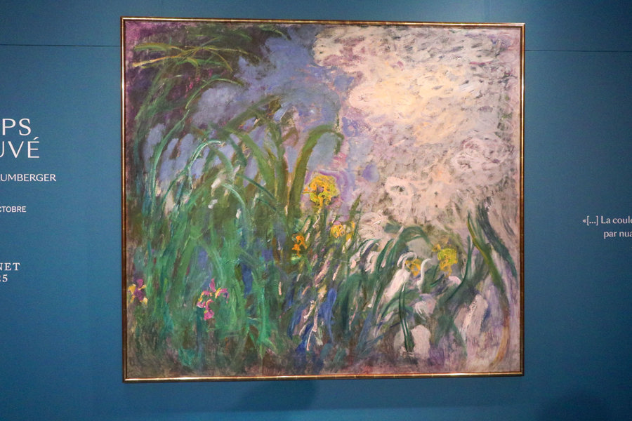 A subasta 'Iris', de Monet, por 34 millones de euros, récord para una pintura en Francia