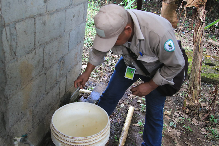 Dengue baja 30.4% en Panamá, pero Minsa pide no bajar la guardia