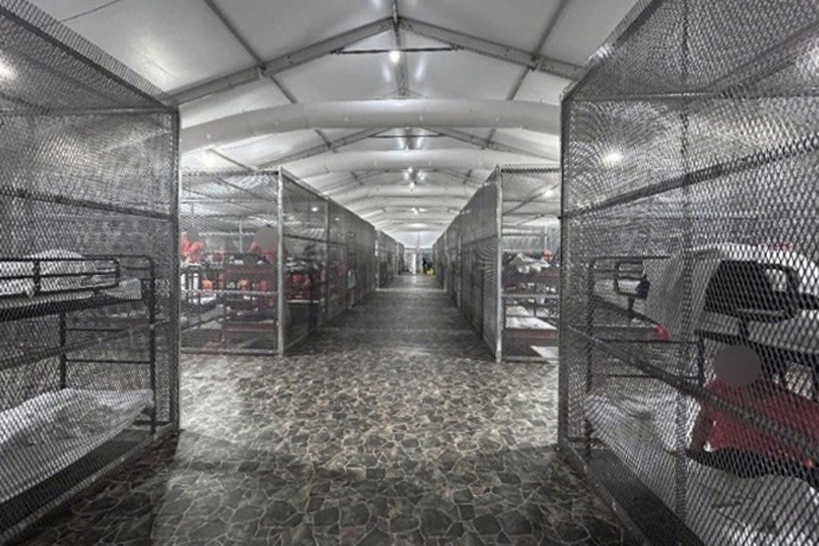 Reporte oficial constata uso de jaulas y otros abusos a inmigrantes en Alligator Alcatraz