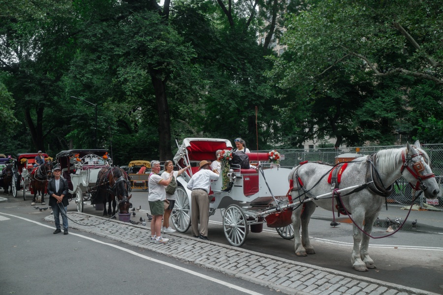 Nueva York se encamina a prohibir los carruajes de caballos a partir de 2028