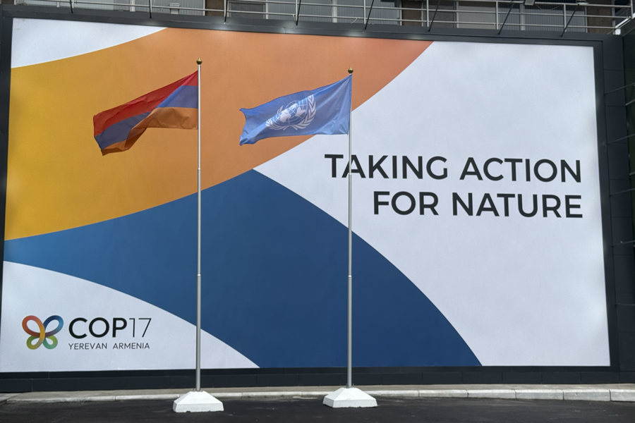 Líderes mundiales se reúnen en Armenia para abordar la protección de la naturaleza