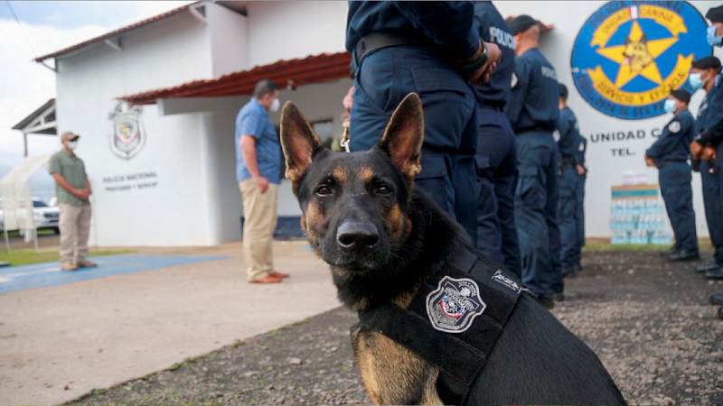 Unidades caninas contra el crimen organizados y otras tareas