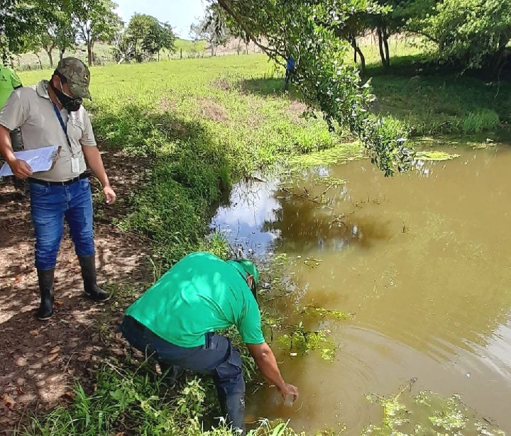 MiAmbiente investiga posible contaminación de la quebrada Cabuya en Ocú