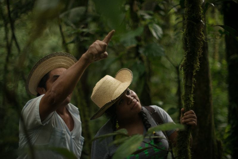 Panamá activa proyecto de turismo verde y la conservación