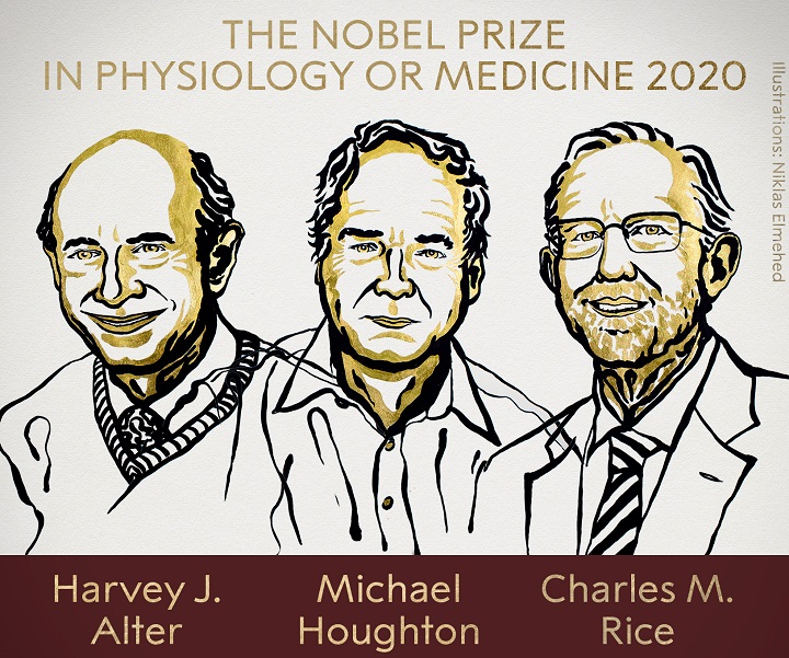 Nobel de Medicina para tres descubridores del virus de la hepatitis C, en plena pandemia