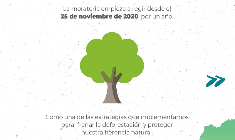 MiAmbiente suspende por un año el aprovechamiento de madera de bosques naturales
