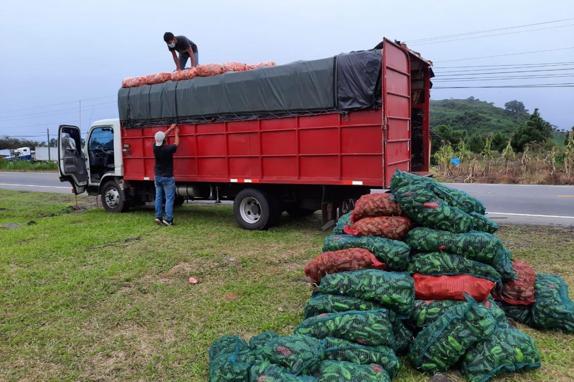MIDA recopila afectaciones al sector agro en Chiriquí