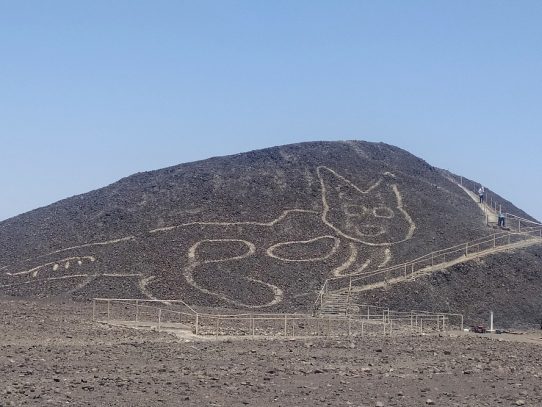 Descubren geoglifo de 2,000 años en forma de gato en la zona de líneas de Nasca, Perú