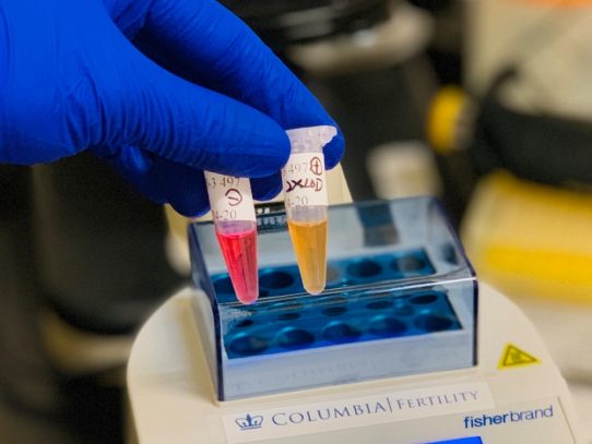 Las compañías rechazan planes de distribuir pruebas rápidas caseras de saliva para detectar coronavirus