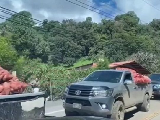 Agricultor de Cerro Punta aseguró que producción de hortaliza y papa no se perdió