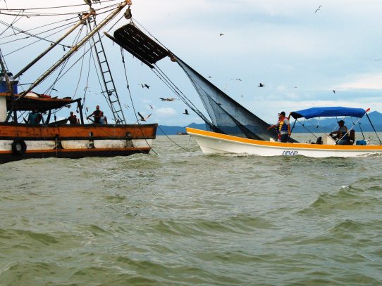 Presentan diagnóstico del sector pesca y acuícola en Panamá