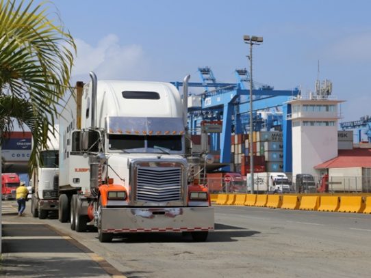 Aduanas presentó el proyecto Portcel a empresas logísticas