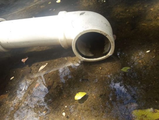 Estación seca prende las alarmas en Los Santos al debilitar fuentes de agua