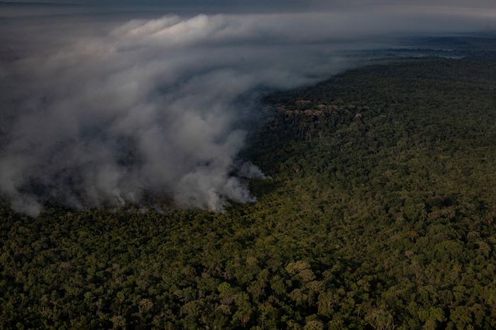 ¿Por qué sigue ardiendo el bosque tropical en Brasil?