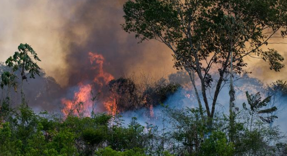 Focos de incendio aumentan a 83% en Brasil, a causa de deforestación y sequía