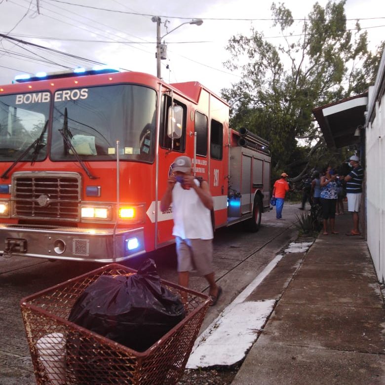 Caída de árbol deja varias viviendas afectadas en Don Bosco