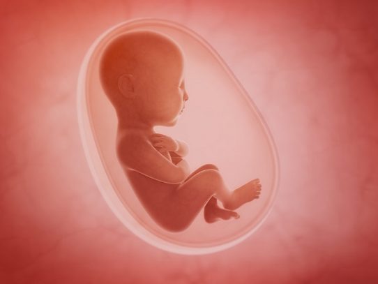 Conferencia Episcopal respalda proyecto sobre identidad del niño fallecido en el vientre