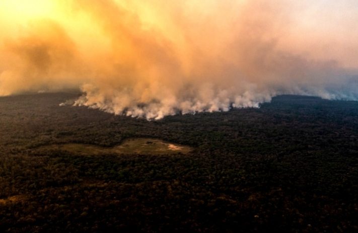 Los incendios en Brasil queman los humedales tropicales más grandes del mundo a una escala 'sin precedentes'