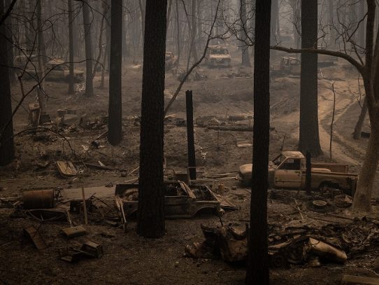Reflexionan sobre el cambio climático en California, arrasado por los incendios