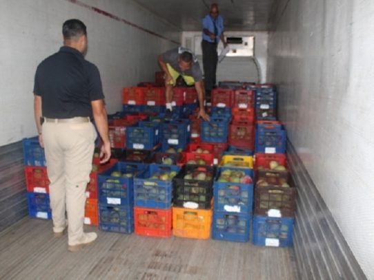 Decomisan mil 150 cajas de mango de presunto contrabando en David