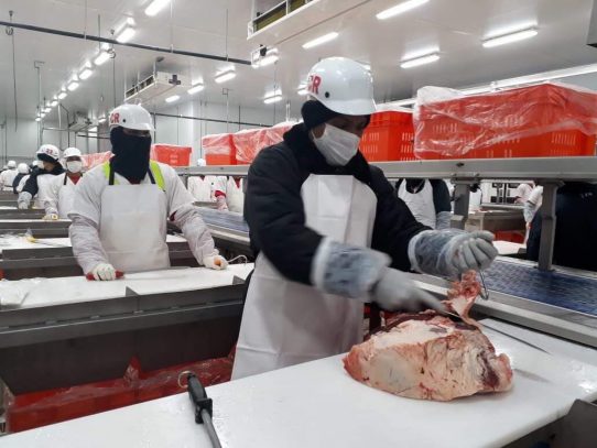 Contenedor con 200 toneladas de carne bovina será exportado a China en junio